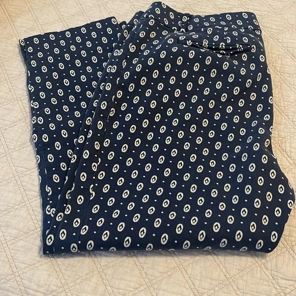 LOFT Capri Pants - Picture 1 of 6